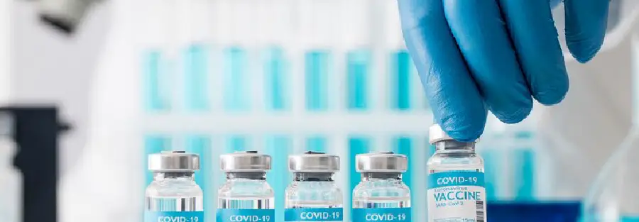 A Guide to Sourcing High-Quality Vaccine Ingredients for Manufacturers